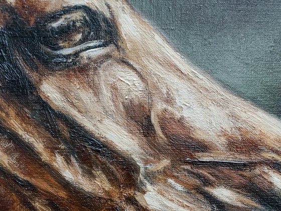 In Motion-Original Horse Portrait