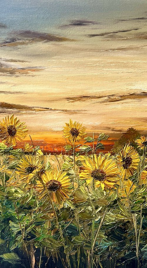 Sunflowers by Sunset by Kimberley  Harris
