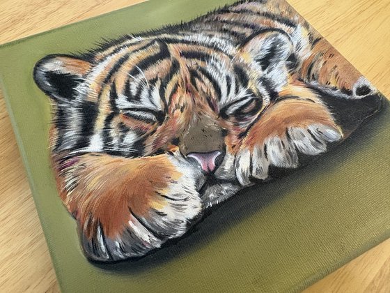 Tiger cub