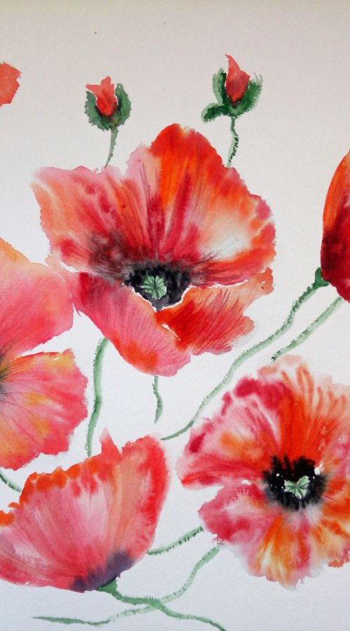 Poppy flowers  large 11 by vicki griggs