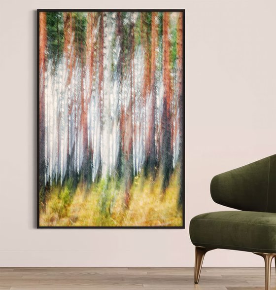 Metsä (studio 8)
