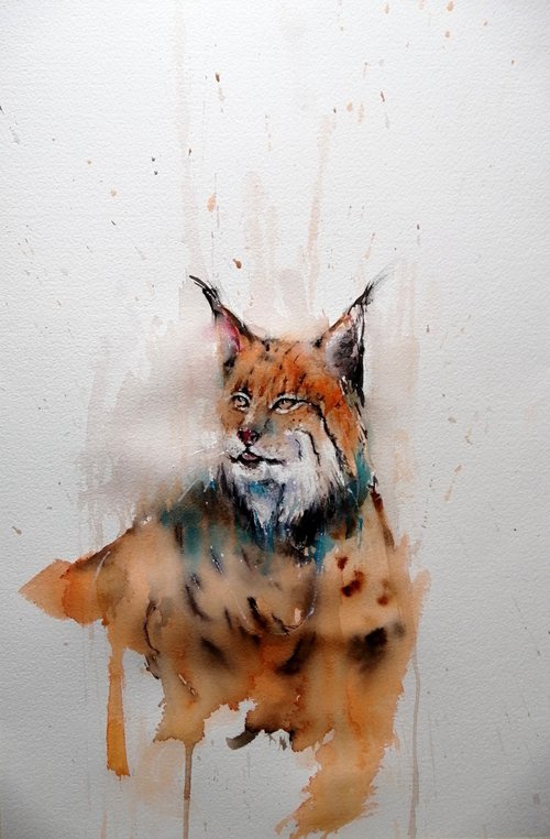 Lynx 2 by Giorgio Gosti