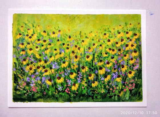 Set of Two - Floral meadows on Postcards