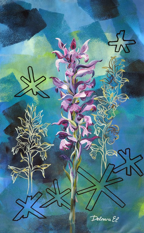 Anacamptis coriophora - A series of endangered plants due to the war in Ukraine