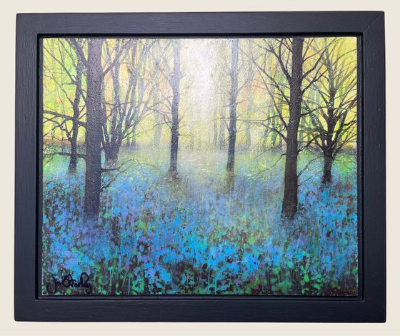 'Beyond the Bluebells'