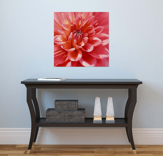 Radiant Bloom. Red Dahlia