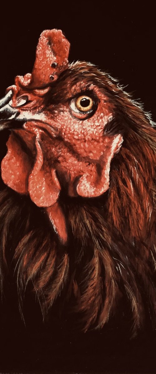 FURIOUS by Semire Akyazı