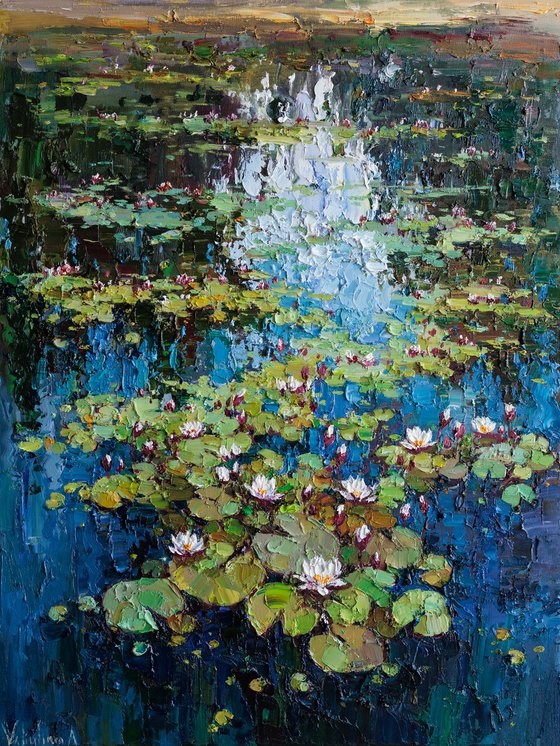White Water Lilies in the Pond