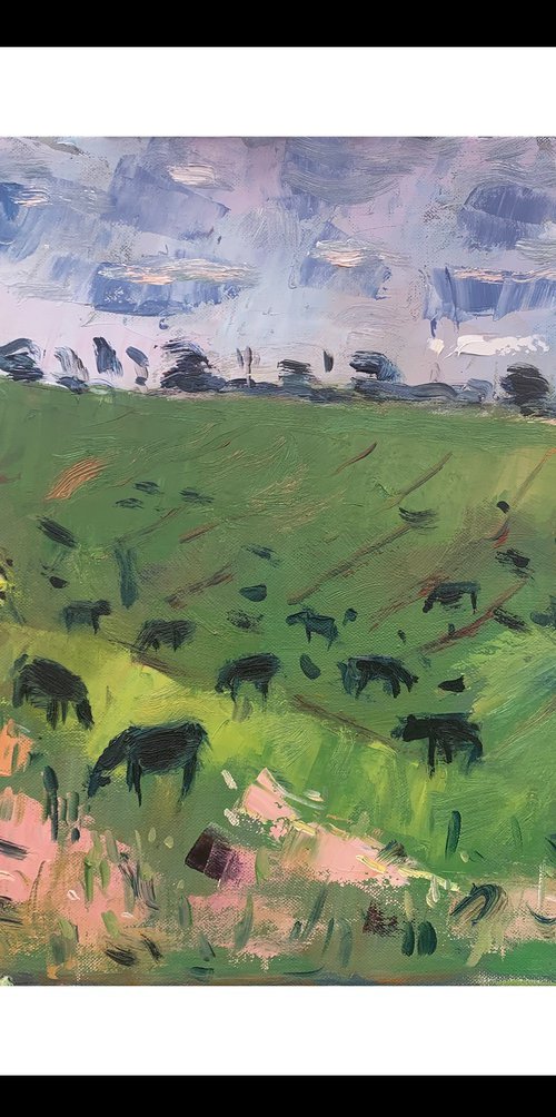 Steers near South Stoke by Andre Pallat