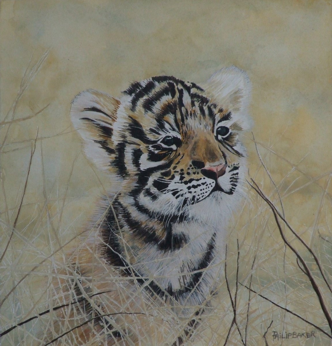 Tiger Cub by Philip Baker