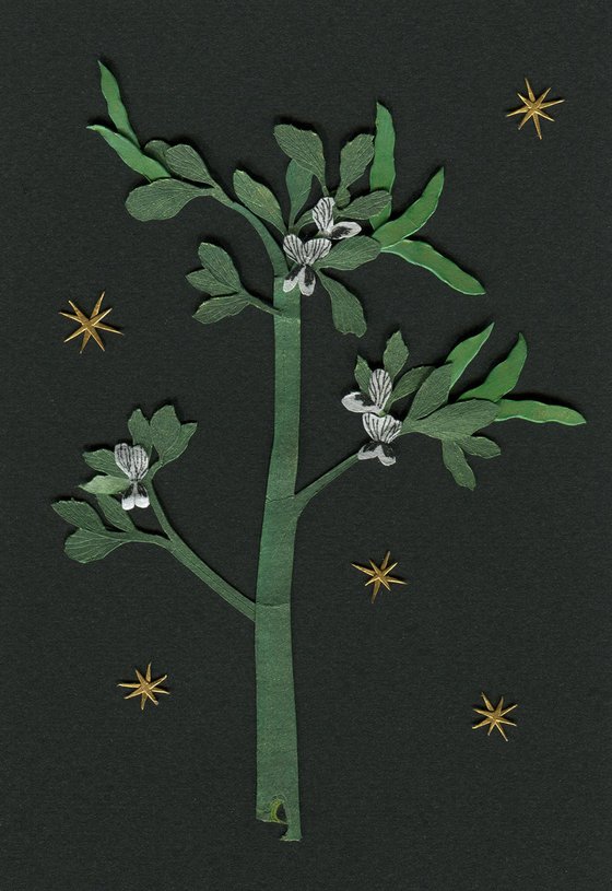 The Magic Beanstalk