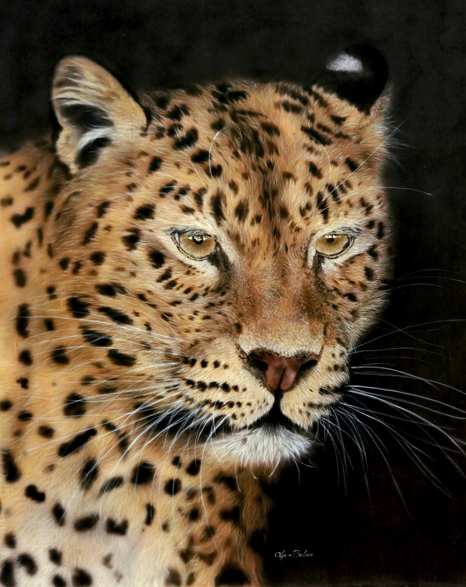 Photorealistic Animal Acrylic Painting By Olga Belova, 20 X 26", Baikal, Original Artwork