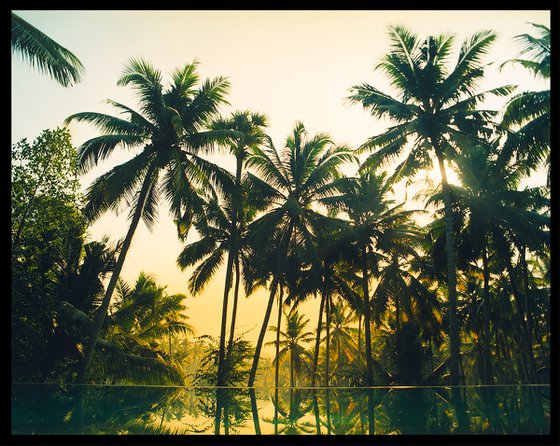 Vetyver Pool, Poovar, Kerala