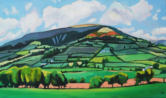 A Patchworked Skirrid