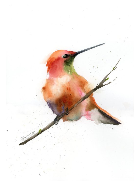 Hummingbird on a branch