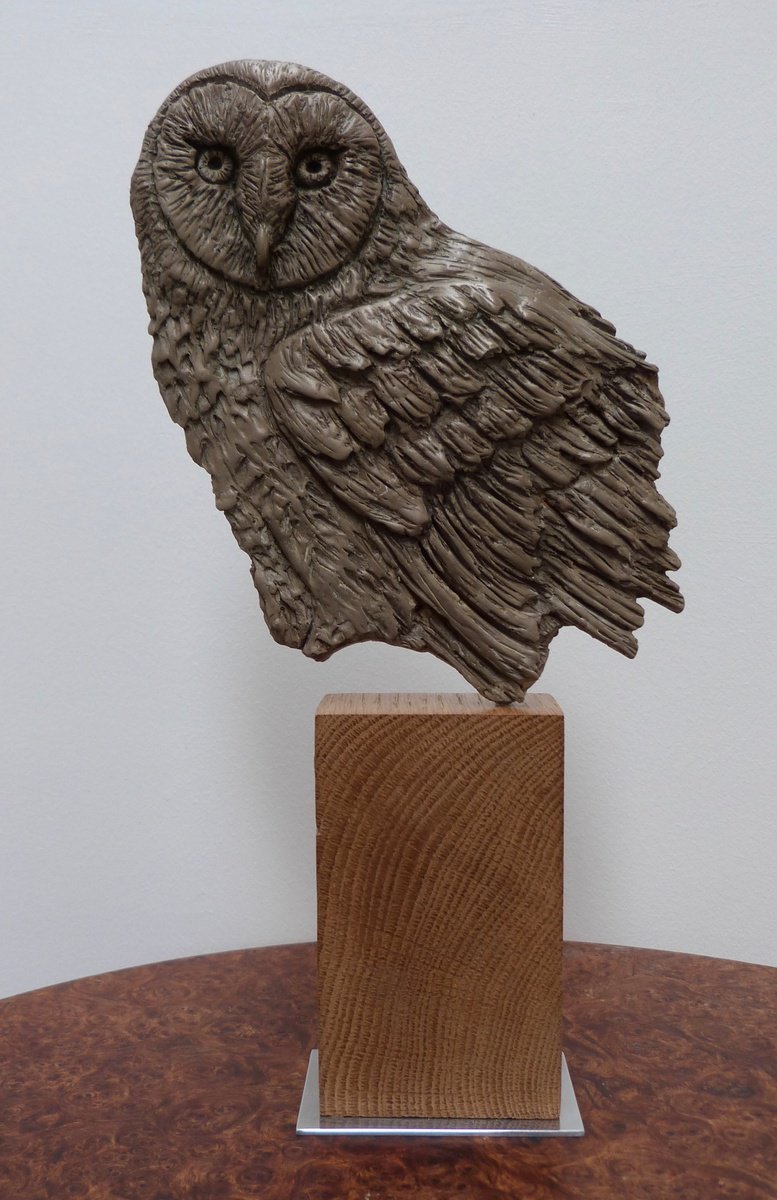 Barn Owl (fragment) by Kate Willows