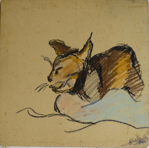Portrait of a cat, pastel drawing on cardboard 35x35 cm by Frederic Belaubre
