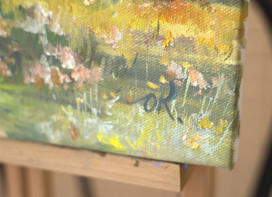 Eucalyptus near Tel Aviv