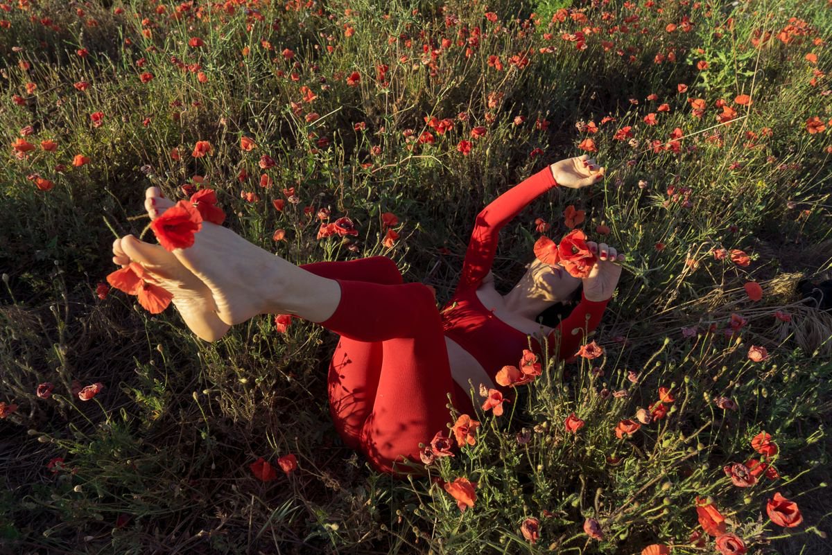 Poppy Field by Carla Sutera Sardo
