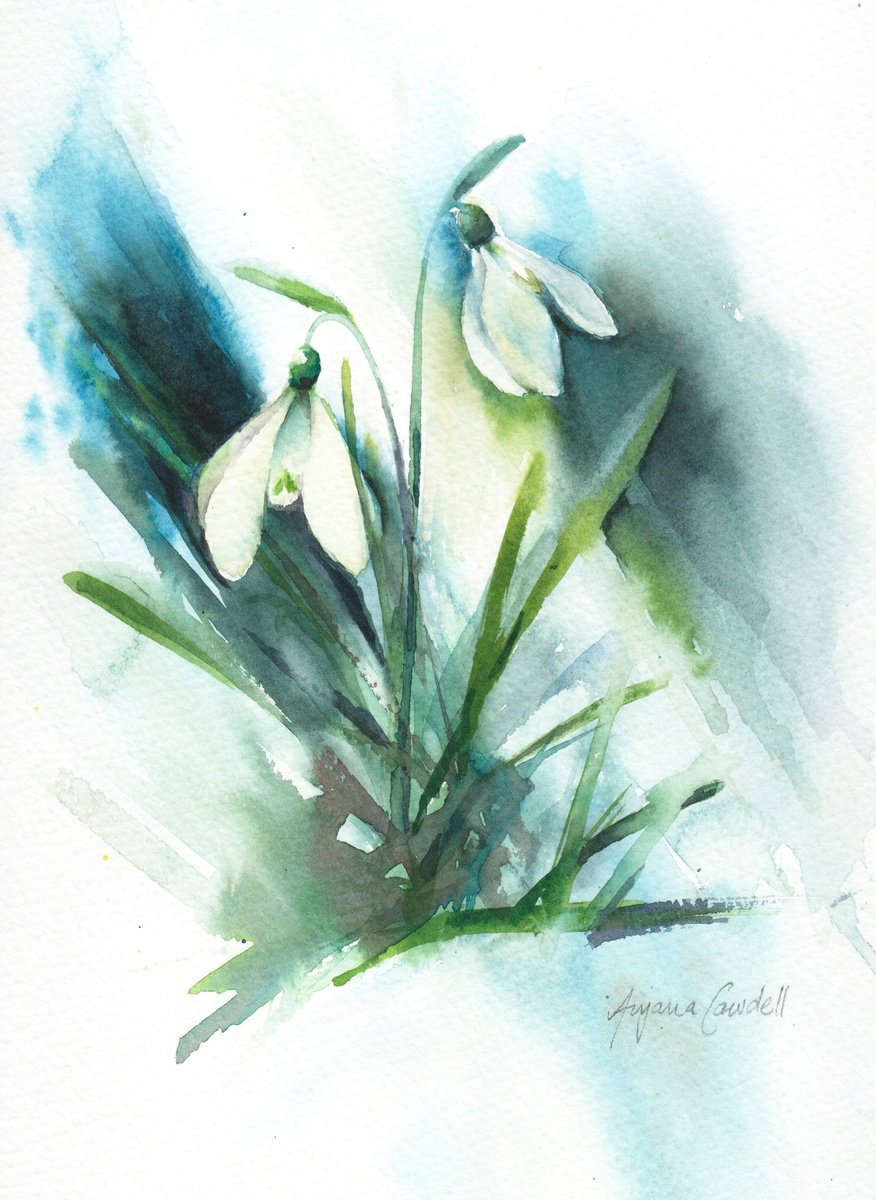 Snowdrops by Anjana Cawdell