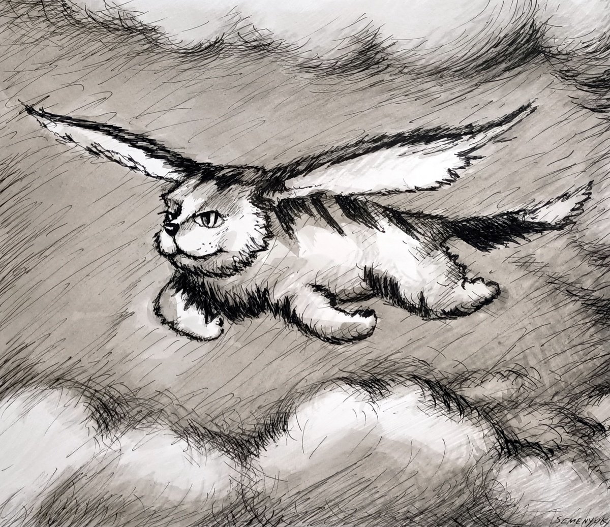 Flying Cat 1 by Evgen Semenyuk