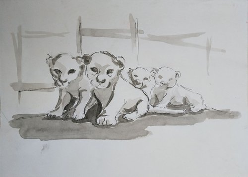 white baby lions by Sara Radosavljevic