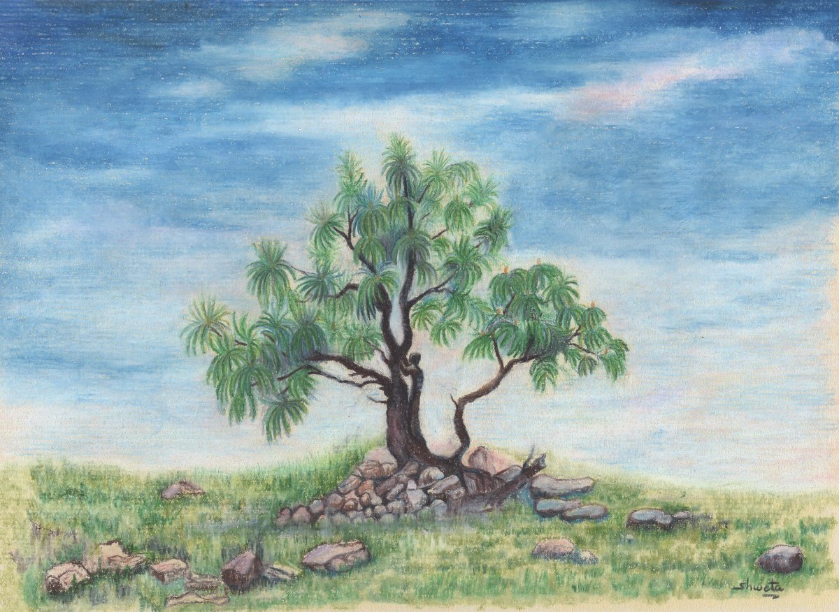 Photorealistic Landscape Pencil Drawing By Shweta Mahajan, 12 X 9", Chir Pine Tree Ii, Original Artwork