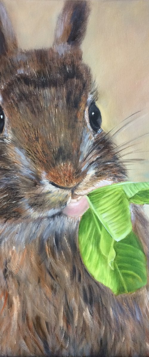 Funny Rabbit by Ira Whittaker