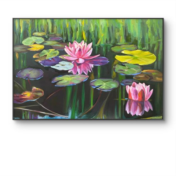 Colorful pond Water lilies