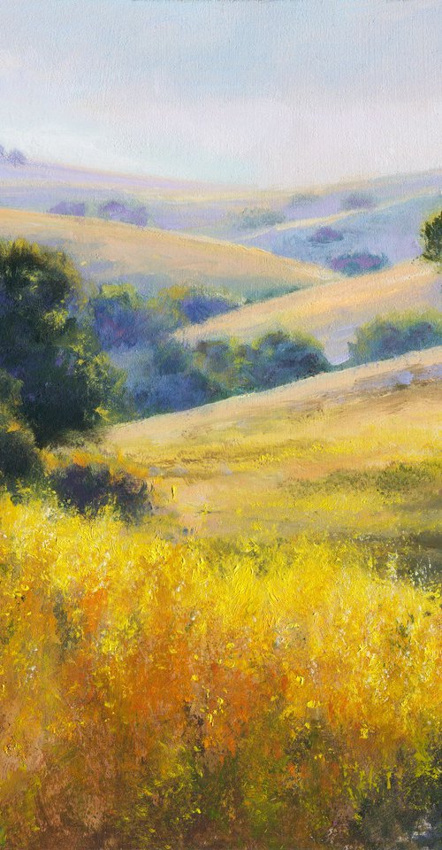 sunny hills with yellow flowers by Lucia Verdejo