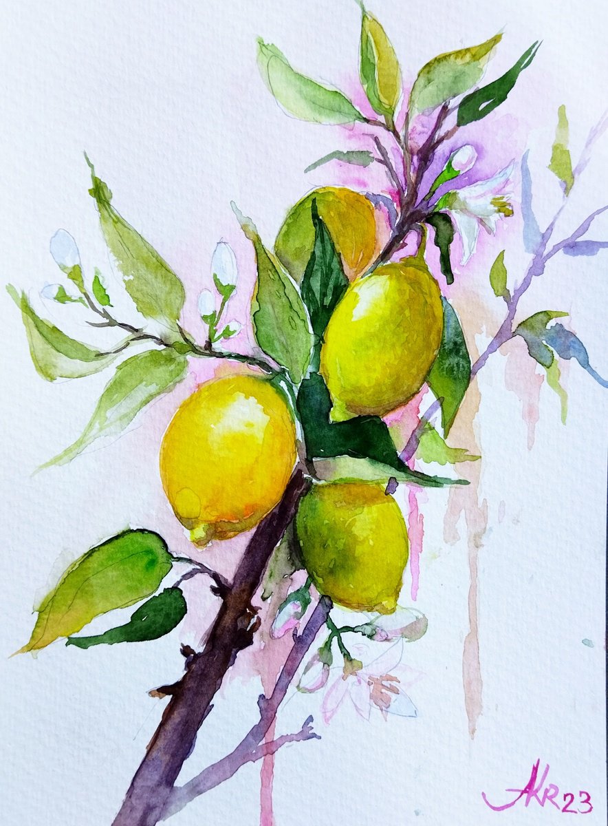 Juicy lemons by Ann Krasikova