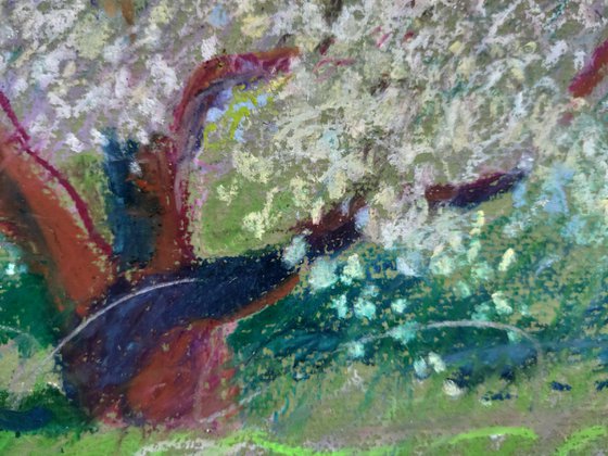 Apple tree