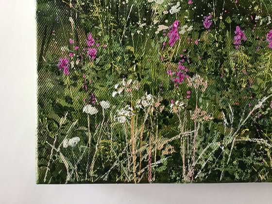 Summer Hedgerow