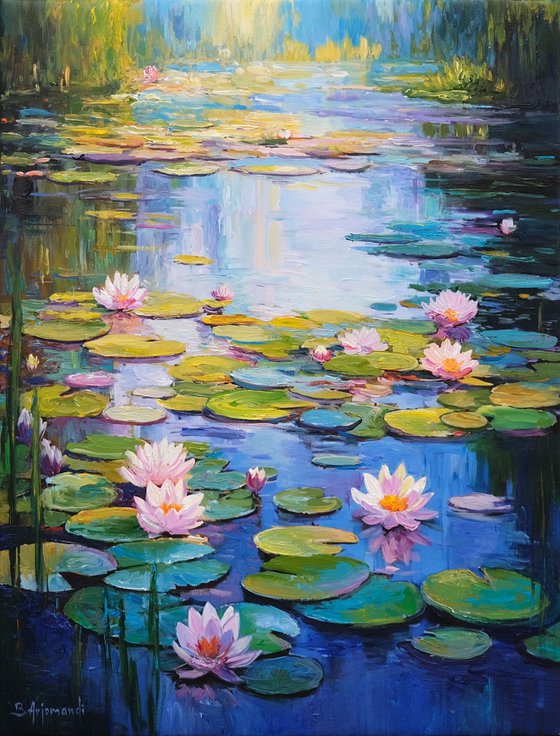 Morning Water Lily Pond