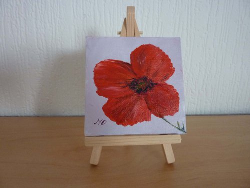 Scarlet Poppy by Margaret Denholm