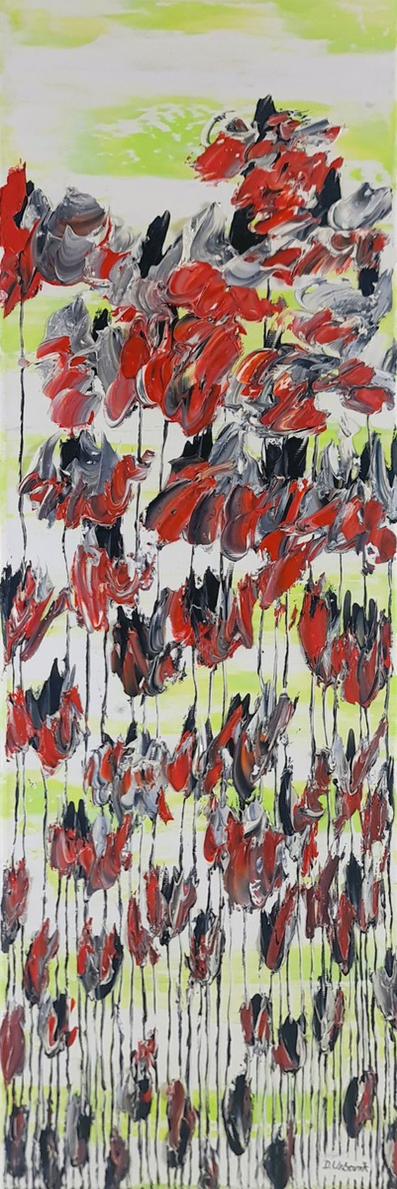 Poppy Flowers 1