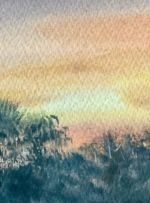 Studland heath sunset, Dorset by Samantha Adams