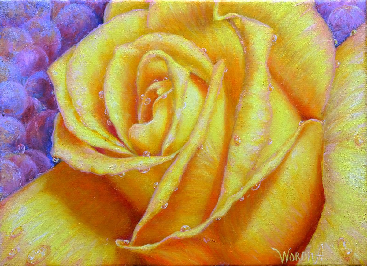 Rose. Yellow rose. by Anastasia Woron