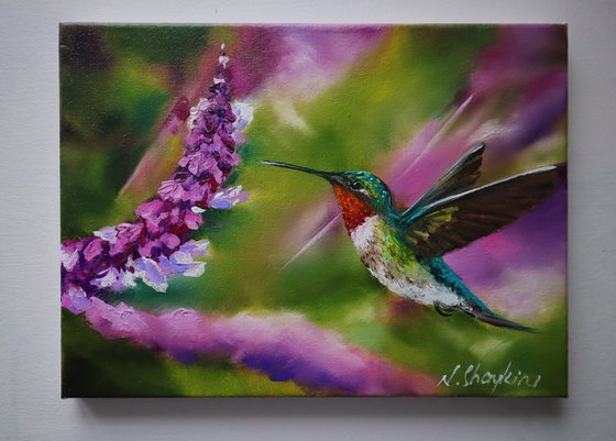 Ruby Throated Hummingbird, Bird and Purple flowers