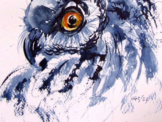 Owl portrait II