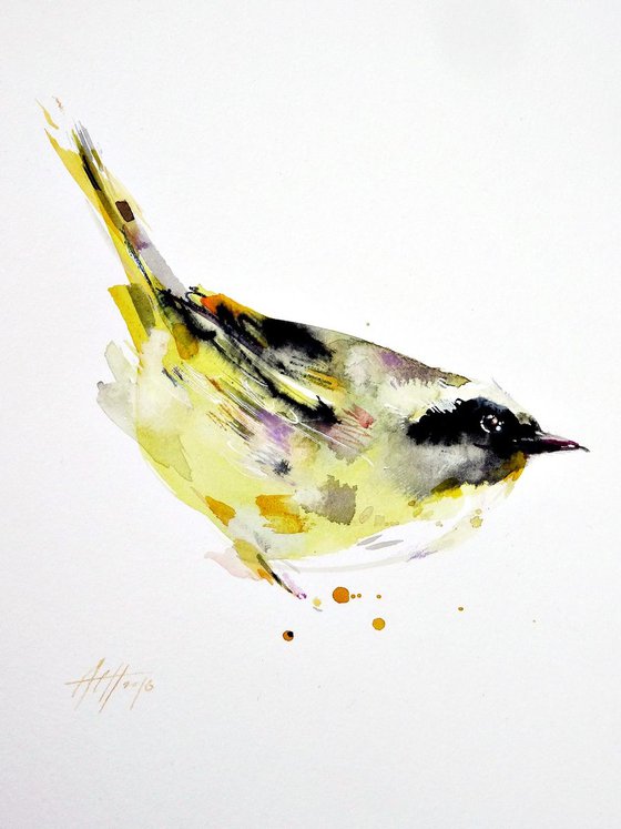 Common Yellowthroat 3 minutes