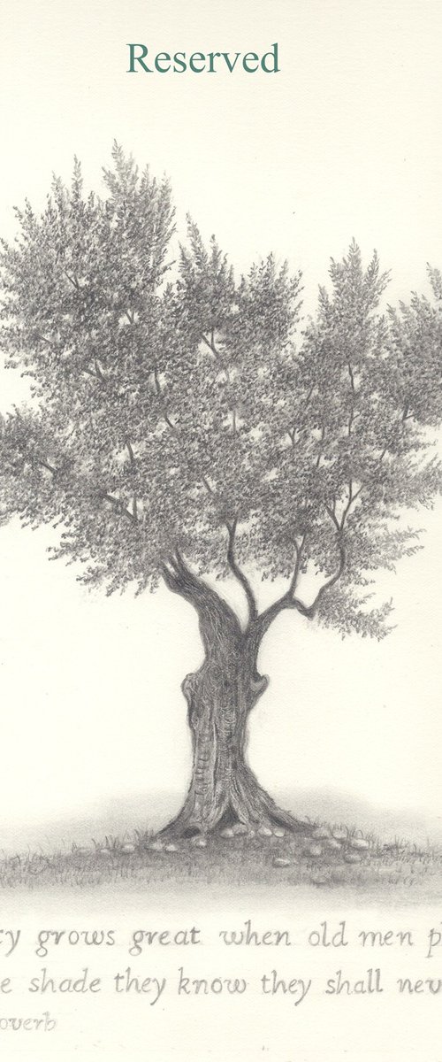 Olive and apple tree graphite rendering by Shweta  Mahajan