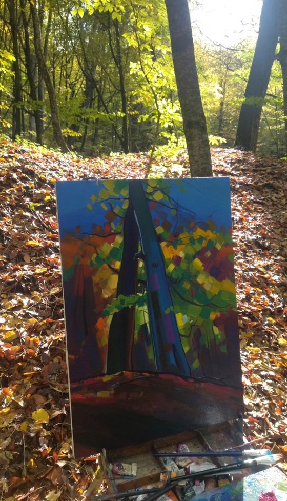 Autumn trees in forest