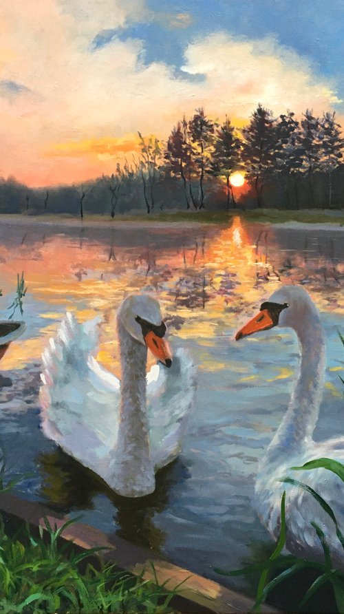 White swans at the sunset lake, landscape painting by Leo Khomich