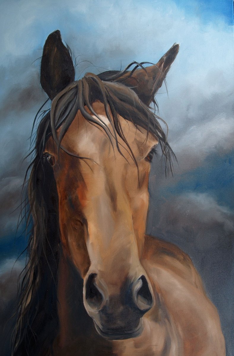 Wild horse by Thuline De Cock