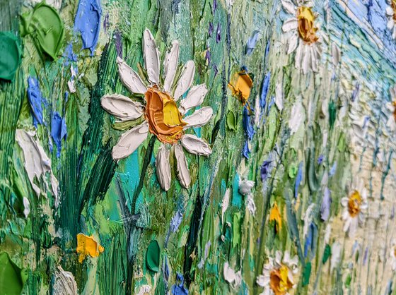 Daisy beach