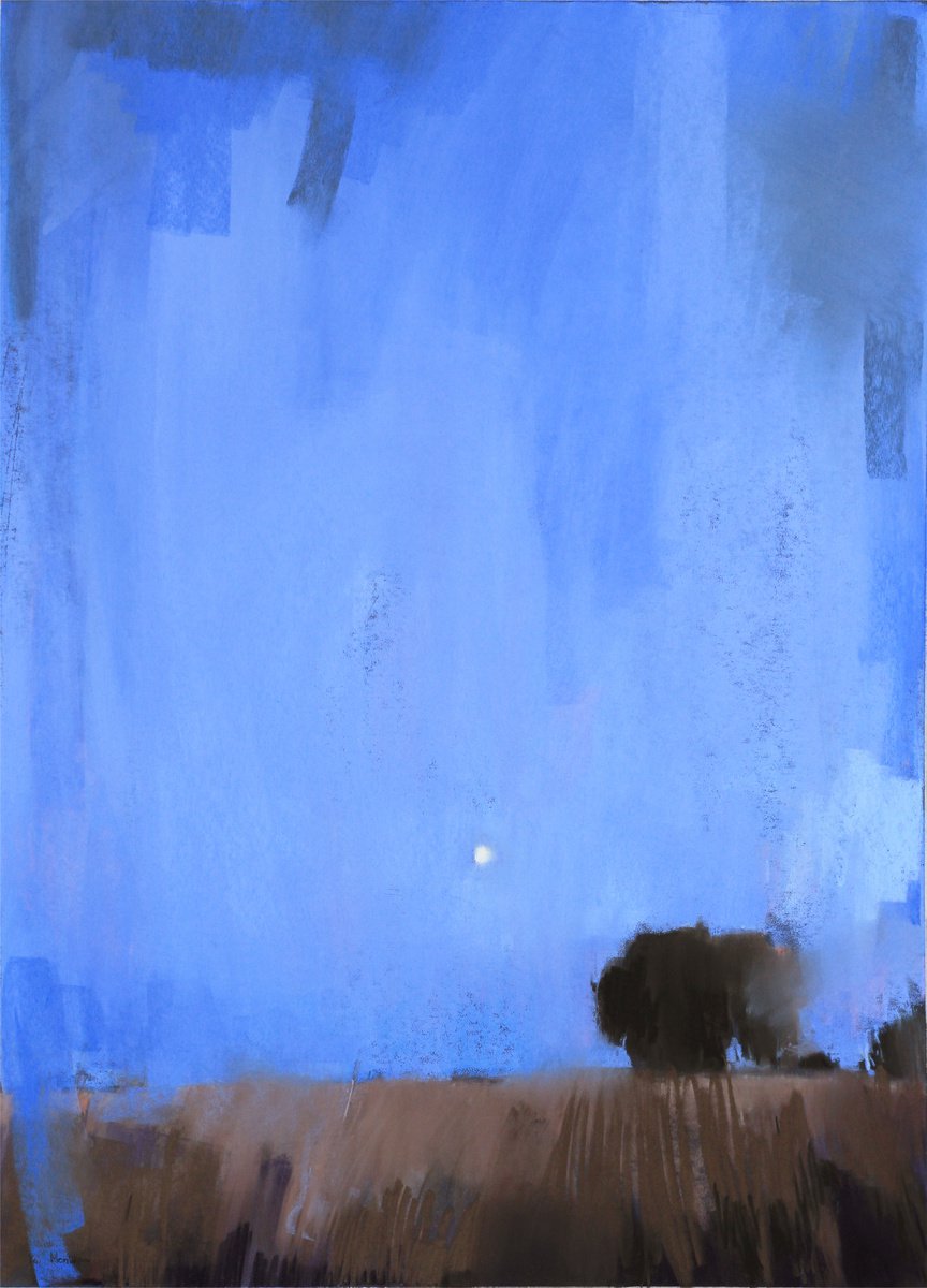 Moonlight by Yuliia Meniailova