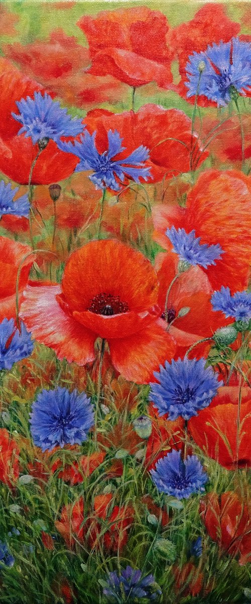 Poppies with cornflowers. by Anastasia Woron