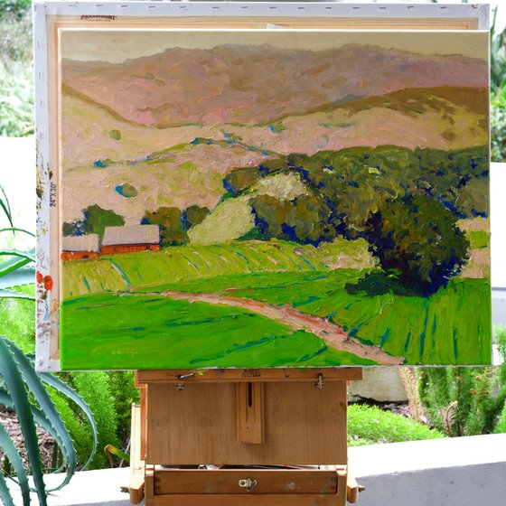 Californian Moutains. Summer Morning
