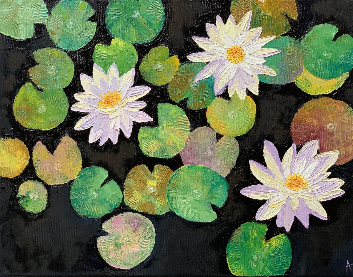 3 water lilies by Amita Dand
